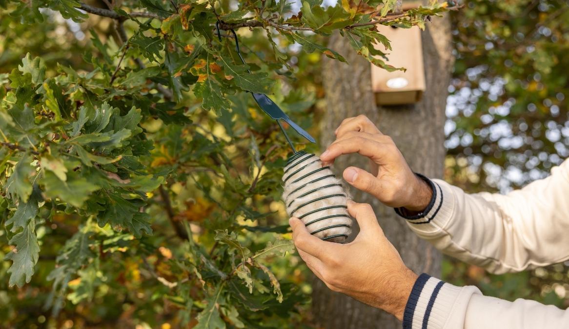 Le Blogue Jardin: Nettoyer les nichoirs pour oiseaux