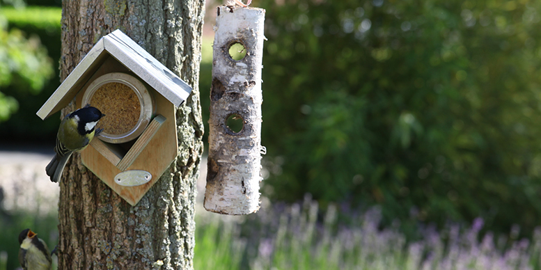 Tit bird peanut butter house