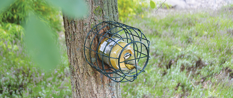 Beurre de cacahuètes non salé pour oiseaux du jardin - Webshop