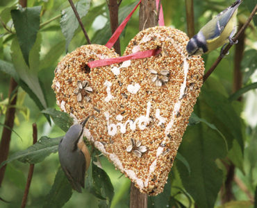 Which bird eats what?