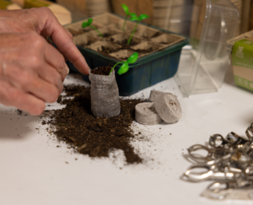 Discover our eco-friendly basics!