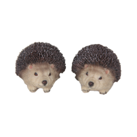 Hedgehog XS