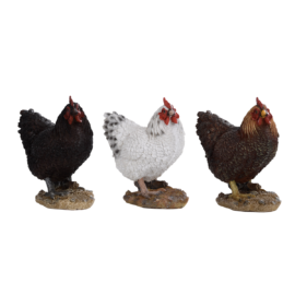 Stehendes Huhn