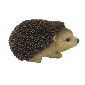 Igel S.