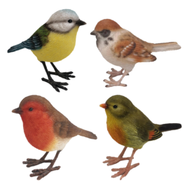 Gartenvögel