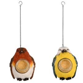 Porte beurre de cacahuètes oiseaux