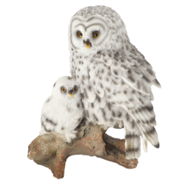 Eule mit Jungem