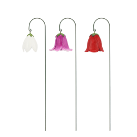 Blumentopfstecker Blüte