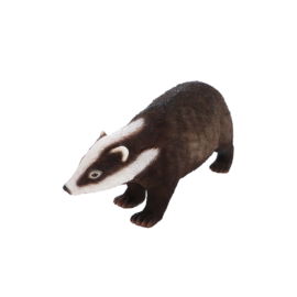 Badger L