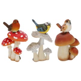 Mushroom with bird S ass.