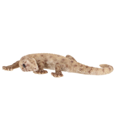 Hagedis L