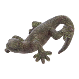Flower pot hanger lizard