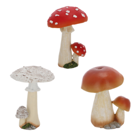 Mushroom group M ass.