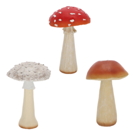 Mushroom L ass.