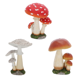 Groupe de champignons L ass.