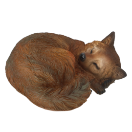 Fuchs schlafend L