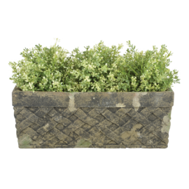 AC Blumenkasten Moos