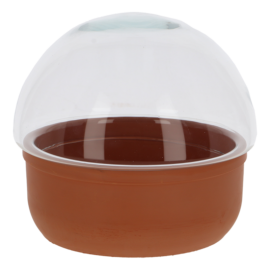 Jardinière terrarium L