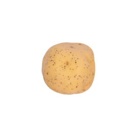 Potato