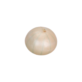 Onion
