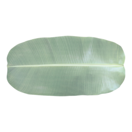 Table runner paper leaf set/10