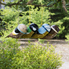 Birdfeeder bird