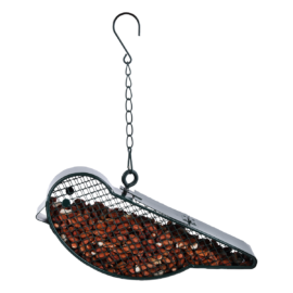 Bird bird feeder