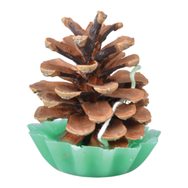 Allume-feu pomme de pin