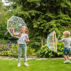 Parapluie enfant transparent papillons