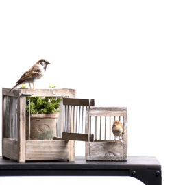 Birdcage wood L