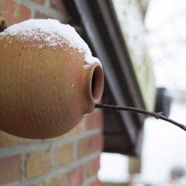 Vogelpot rond mezen en mussen