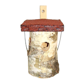 Bird house birch