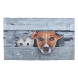 Türmatte Kuckuck! Hund & Katze