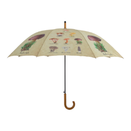 Umbrella mushrooms