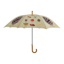 Umbrella trees