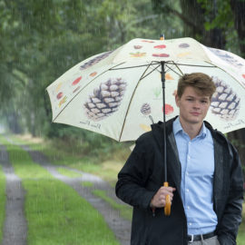 Umbrella trees