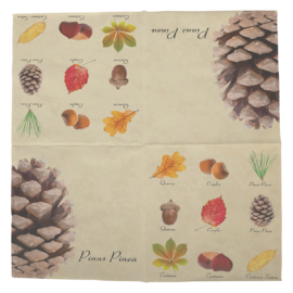 Servetten bomen 33x33cm