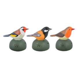 Welkomsvogel ass.