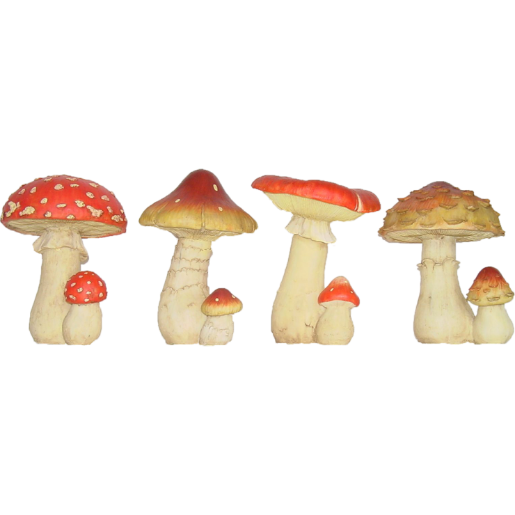Mushroom M