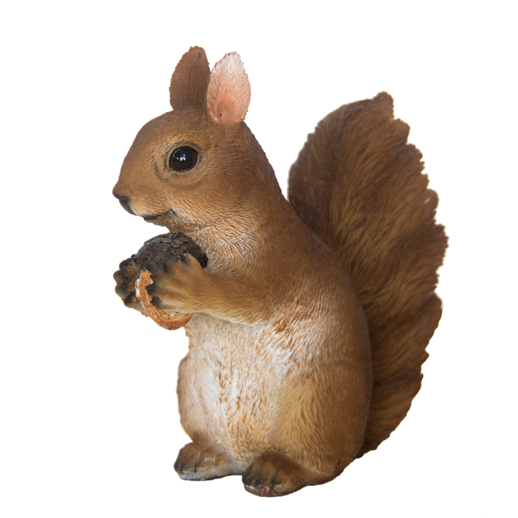 Sitzendes Eichhörnchen S.