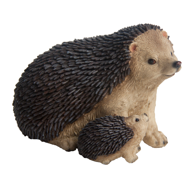 Igel mit Jungtier