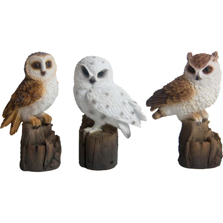 Chouette sur tronc S.