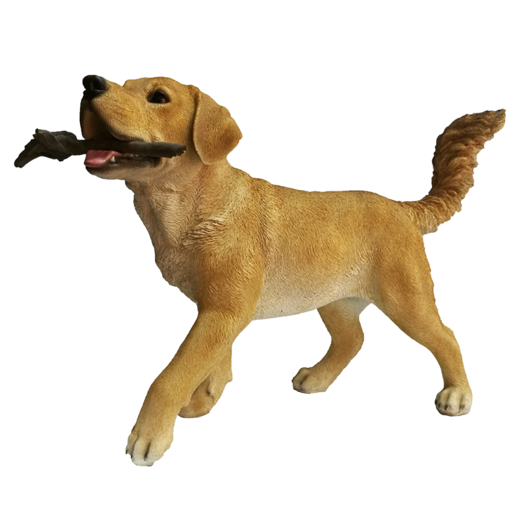 Golden retriever avec bâton