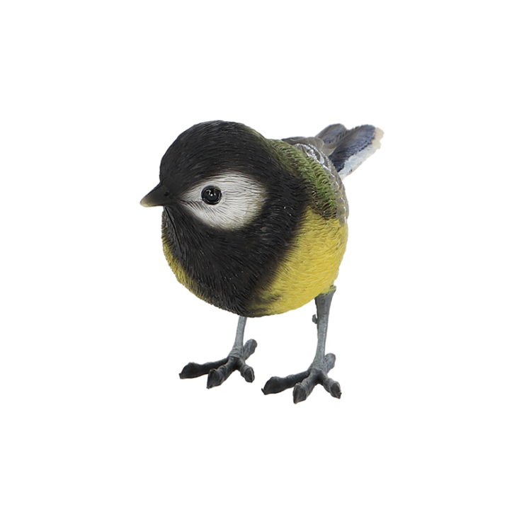 Mésange charbonnière