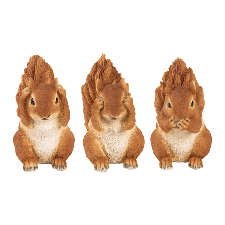 Eichhörnchen hören, sehen und schweigen