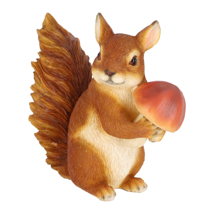 Eekhoorn met eekhoorntjesbrood