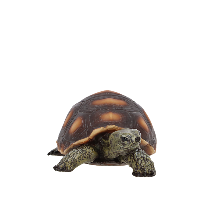 Schildpad S