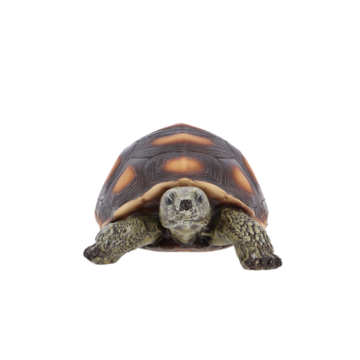 Tortue M