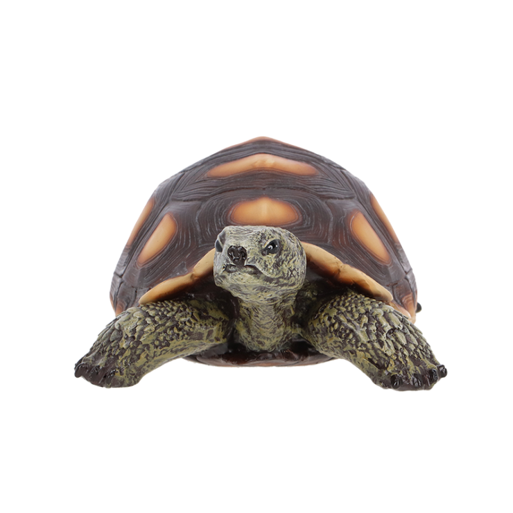 Tortue L