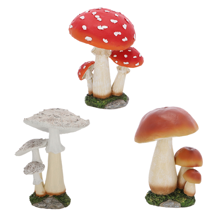 Groupe de champignons L ass.